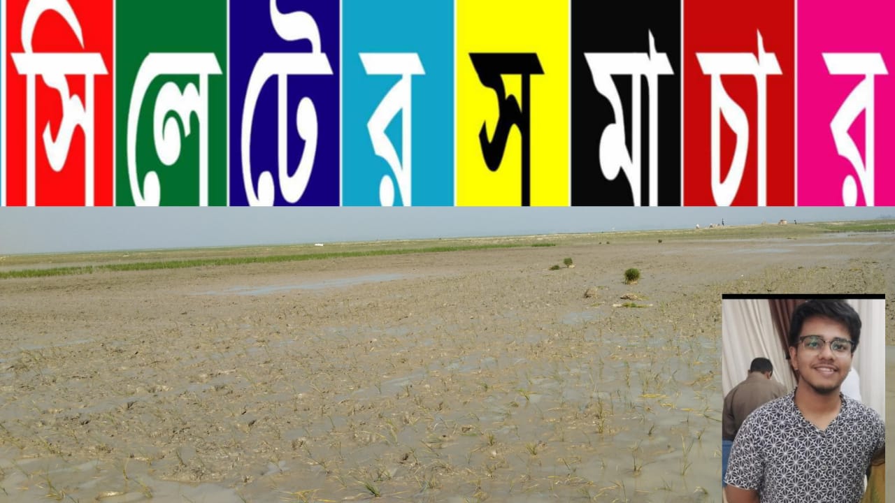 দিরাইয়ে আদালতের আদেশ অমান্য করে চাপতির হাওরে জমি দখলের অভিযোগ