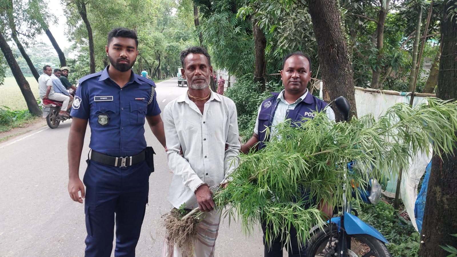 সুনামগঞ্জের হরিনগরে বাড়ির ছাঁদ থেকে গাঁজার গাছসহ ১ জন আটক।